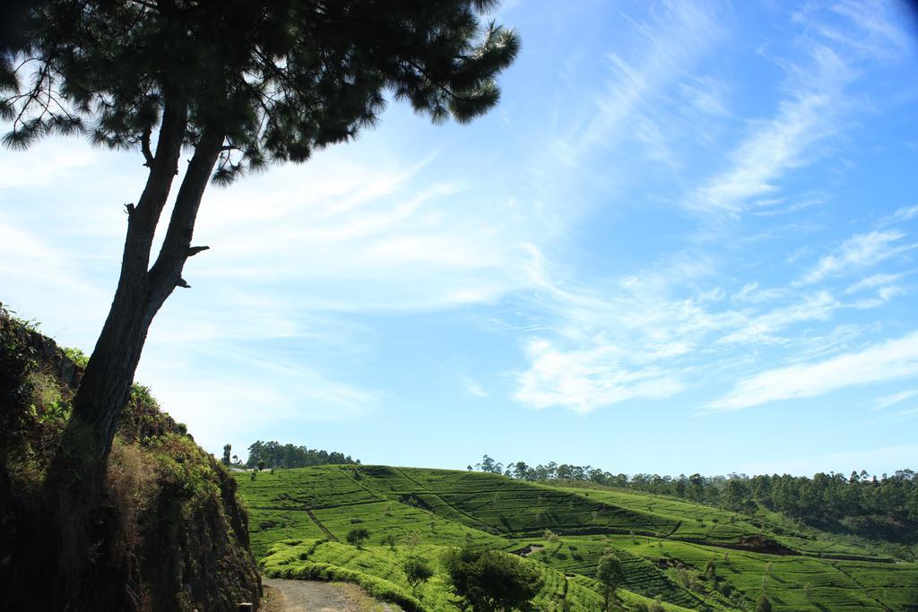 Orient Hotel Bandarawela Kültér fotó